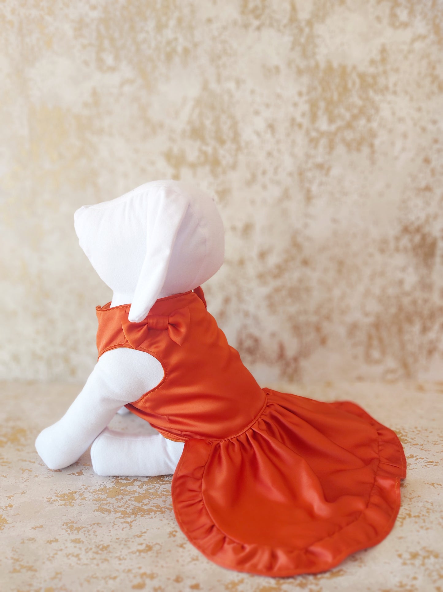 Vestido de Razo para Mascota