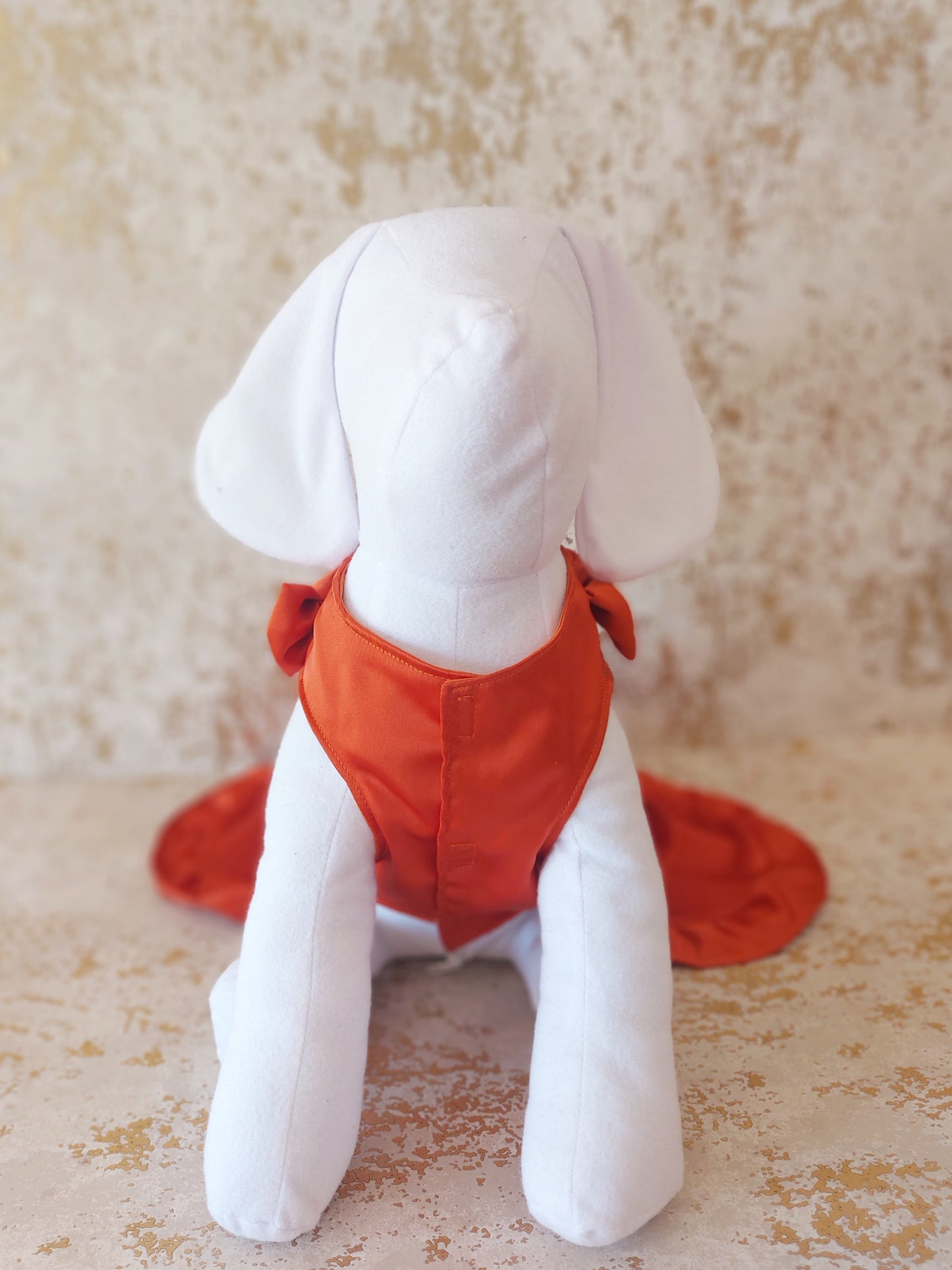 Vestido de Razo para Mascota