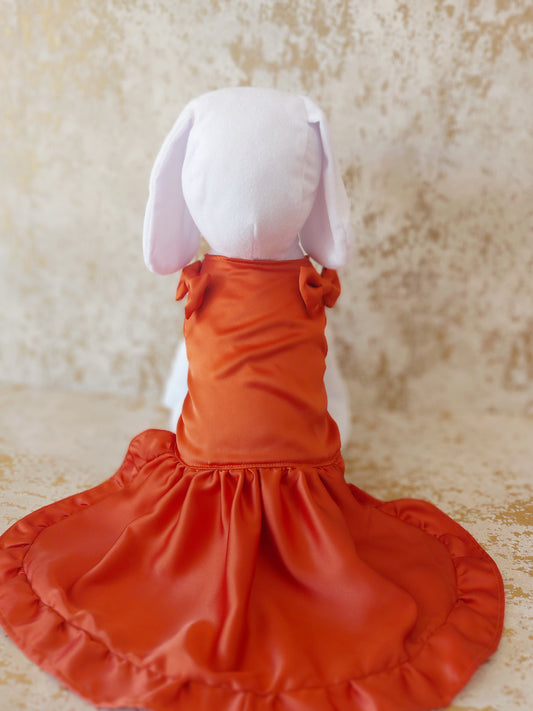 Vestido de Razo para Mascota