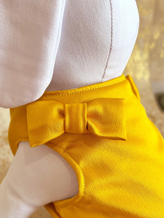 Vestido de Razo para Mascotas